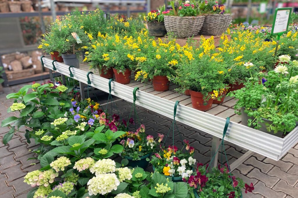 Beet, Balkon & Gartenpflanzen · Erstes Aachener Gartencenter