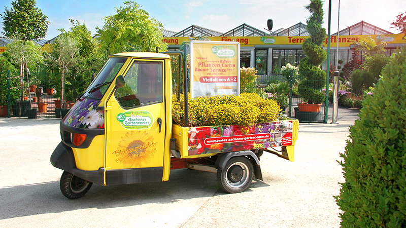 kleiner wagen mit blumen